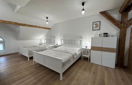Ceske Budejovice Apartment | Vila Fráňa apartmán 3