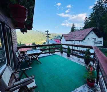 Busteni Cabin | Vila Gabi