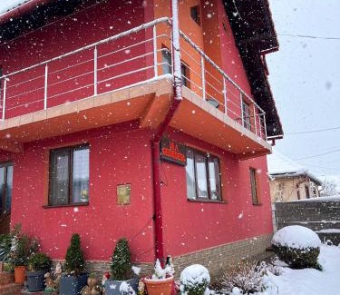Zarnesti House | Vila Georgeta