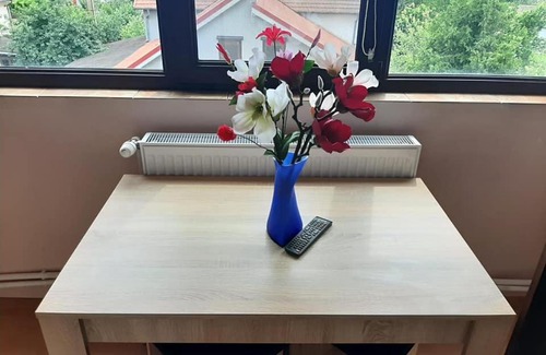 Valu lui Traian Apartment | Vila Gherghisan
