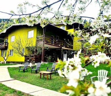 Voineasa House | Vila Giulia Voineasa
