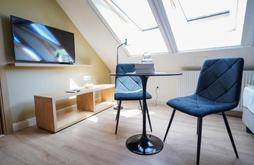 Sremski Karlovci Apartment | Vila Karlovčanka smeštaj u centru Sremskih Karlovaca