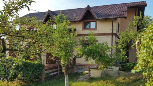 Curtea De Arges Villa | Vila Magnolia