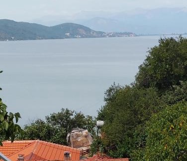 Lin Villa | Vila Marini
