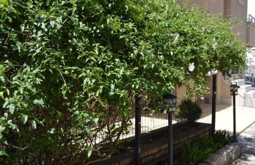 Babilonija House | Vila Maslina Guesthouse