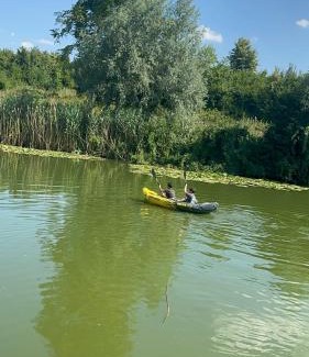 Silistea Snagovului Villa | Vila Meditteran
