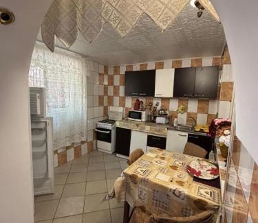 Azuga House | Vila Movilă