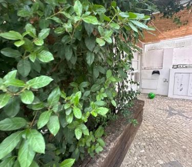Vila Nogueira de Azeitao Villa | Vila Nogueira De Azeitao - Amaral's Guest Houses
