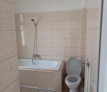 Predeal Cabin | Vila Oltețul