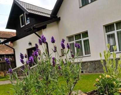 Busteni Villa | Vila Panduri 23