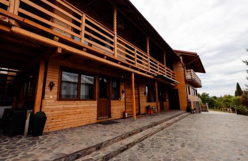 Sighetu Marmatiei House | Vila Piramida