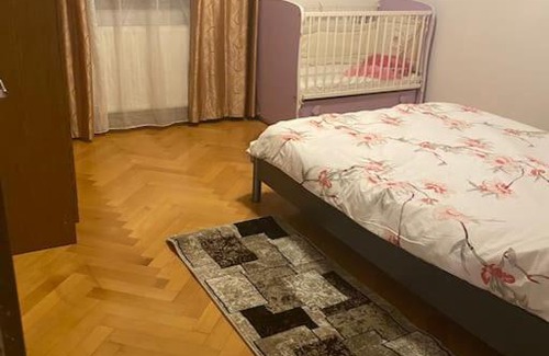 Ghiroda Villa | Vila primitoare in apropiere de aeroport