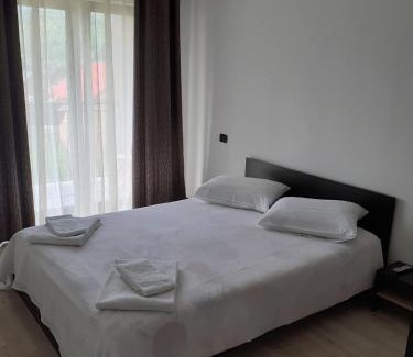 Borsa Villa | Vila Puiu Borsa MM