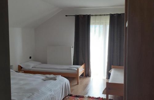 Borsa Villa | Vila Puiu Borsa MM