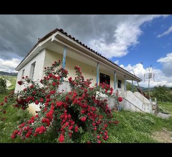 Elbasan Villa | Vila Redi