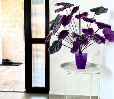 Brasov House | Vila Suveranii