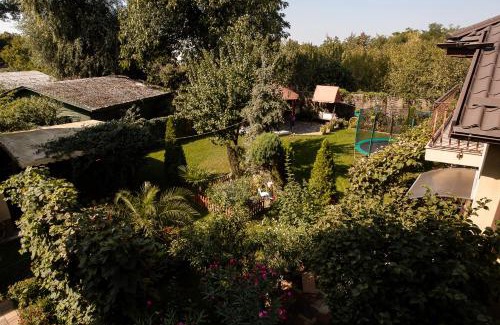 Satu Mare House | Vila Tineretului