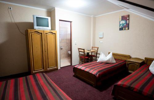 Satu Mare House | Vila Tineretului