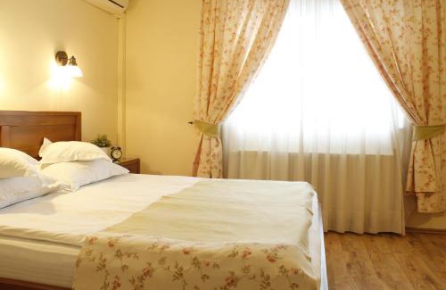 Otopeni House | Vila Toparceanu - Therme & Airport Otopeni