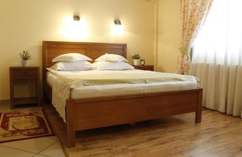 Otopeni House | Vila Toparceanu - Therme & Airport Otopeni