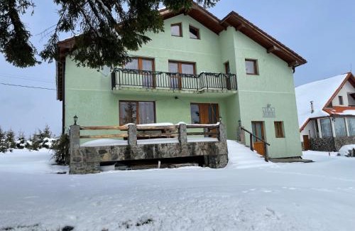 Paltinis Cabin | Vila Verde Păltiniș
