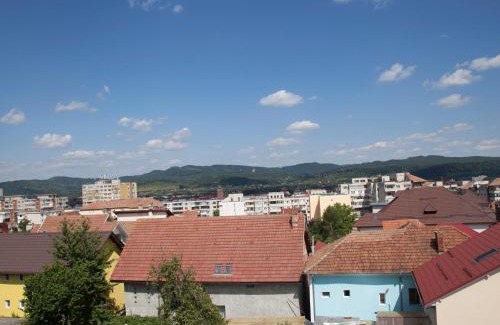 Ramnicu Valcea House | Vila Victoria