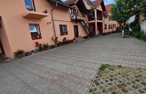 Zarnesti House | Vila Vlăduț