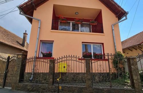 Zarnesti House | Vila Vlăduț
