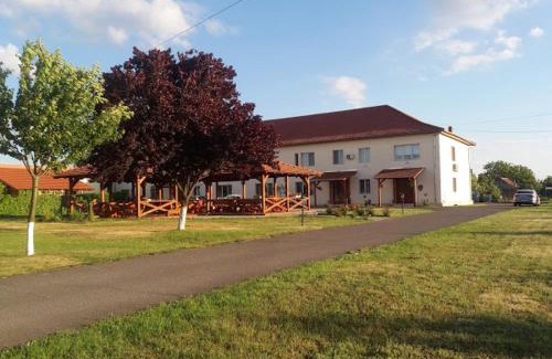Sannicolau Mare Villa | Vila Zoppas Inn