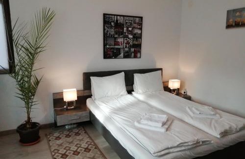 Sector 5 Apartment | Villa 38 Silviu Apartment