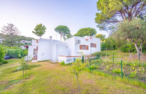Geremeas Villa | Villa a Geremeas a due passi dalla spiaggia
