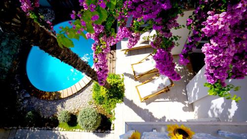 Orebic Villa | Villa Agnes