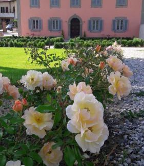 Pistoia Bed & Breakfast | Villa Agnolaccio Residenza d'Epoca
