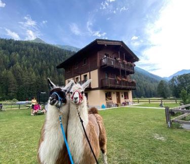 Champoluc Bed & Breakfast | Villa Americana Chambres d'Hotes