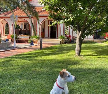 Cancini Villa | Villa Anna with pool by Porec