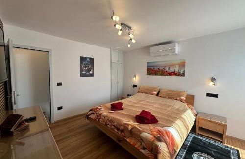 Borik Apartment | Villa Anthony