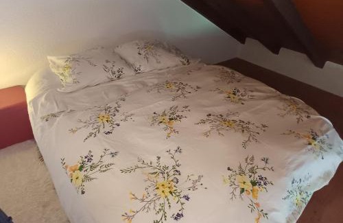 Bouveret Bed & Breakfast | Villa Aroleid