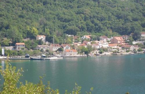 Orahovac House | Villa Aronija