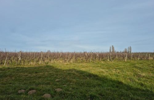 Monbazillac Villa | Villa au cœur des vignes