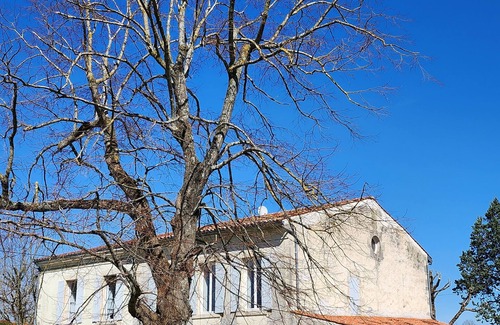 Saint-Jean-d'Angely House | Villa Ausone, Maison Spacieuse Entièrement Rénovée Lumineuse Avec Beaux Volumes
