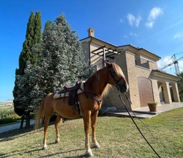 Porto Sant'Elpidio Villa | Villa Azzurra