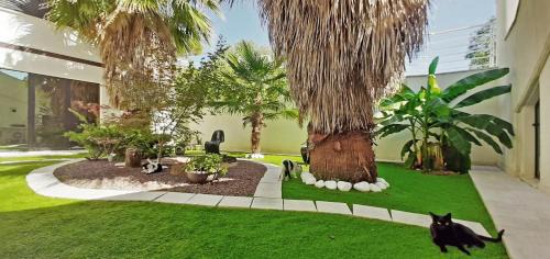 Macerata House | Villa Belohorizonte