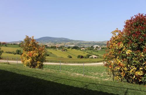 Osimo House | Villa Belvedere Degli Ulivi