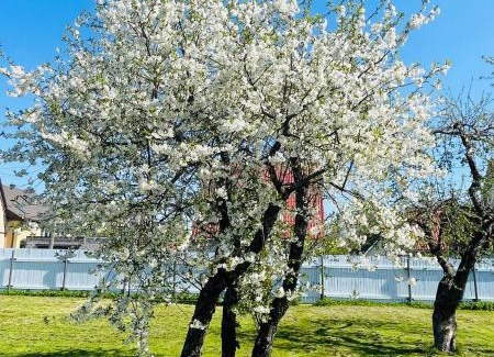 Parnu Villa | Villa Blue Heaven Pärnu