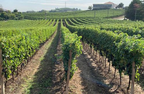 Nizza Monferrato Villa | Villa Bricco 46