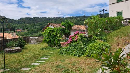 Pescia Villa | VILLA Castel del Monte PINOCCHIO story by COLLODI