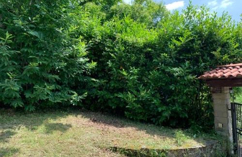 Porciano Apartment | Villa Cira