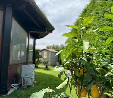 Specchiolla House | Villa Claudia
