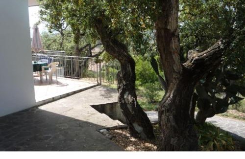 Lido di Capoliveri House | Villa Colle Lido by Agenzia SolturElba