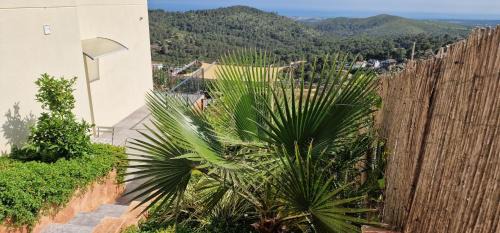 Canyelles Apartment | Villa Contenta Canyelles